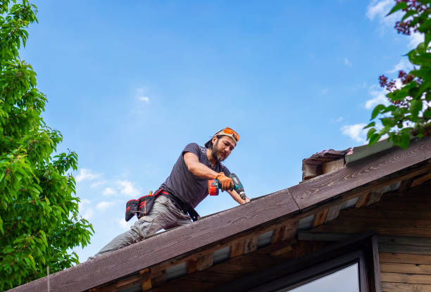 Best Roofing for New Construction  in Pelion, SC