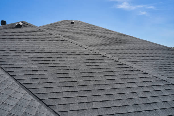 Best Roof Leak Repair  in Pelion, SC