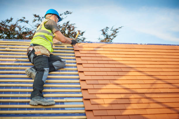 Best Roof Ventilation Installation  in Pelion, SC